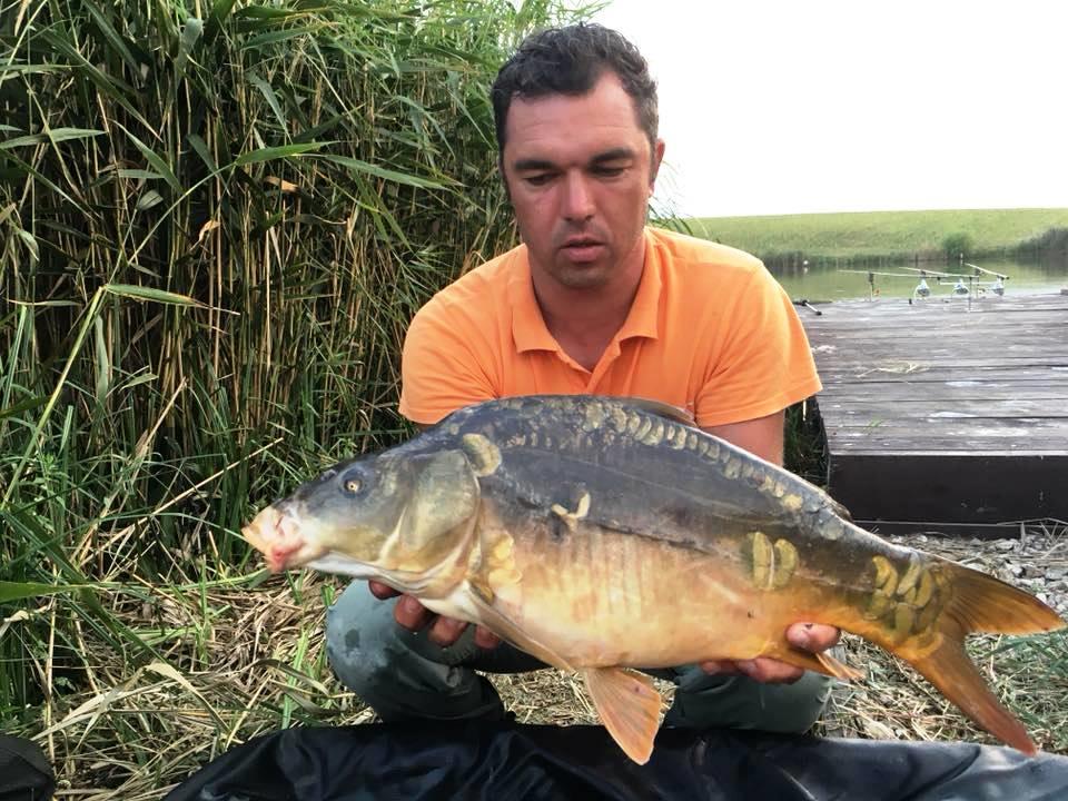 Bila 2 14 - 16 septembrie 2018 - a2.jpg